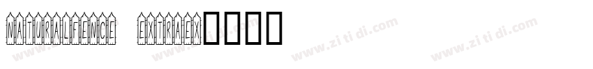 NaturalFence Extraex字体转换 NaturalFence Extraex字体转换